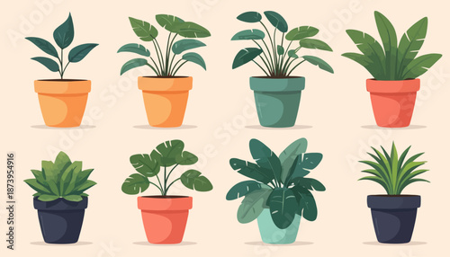 vector of plant on the pot