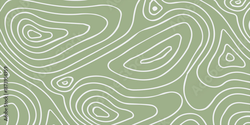 Abstract Topographic Map Contour Lines Pattern in Green and White.