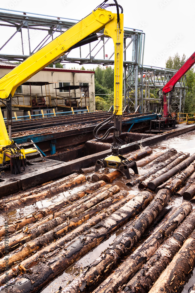 Obraz premium Harvester log loader lifting up logs from hot water in manufacture plant, treatment process. Wood in plywood mill outdoors, logging factory. Woodworking plywood industry concept. Copy ad text space