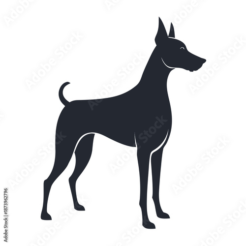 Graceful Doberman sitting with highlighted neck accent vector art