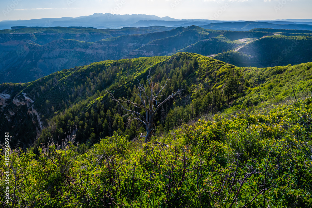 Obraz premium An overlooking view of nature in Mesa Verde NP, Colorado