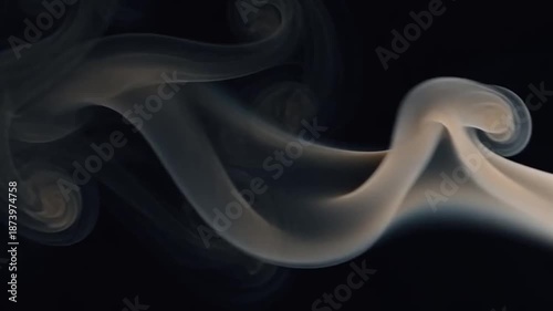 Wallpaper Mural An abstract video showcasing a swirling smoke pattern in a dark background Torontodigital.ca