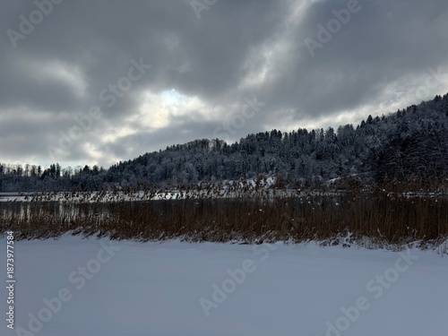Icy Surface of Lake Türlersee Surrounded by Snowy Forest