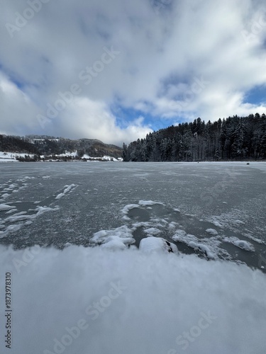 Scenic Winter View of Frozen Türlersee in Switzerland