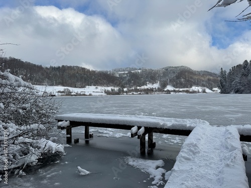 Calm and Frozen Türlersee with Snowy Shoreline and Albis 