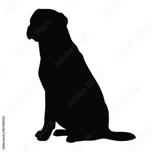 Detailed vector illustration of a dog