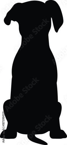 A silhouette of a dog facing Rear-view