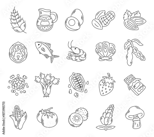 Food allergen set in outline line art featuring common allergenic ingredients including dairy nuts seafood grains fruits vegetables for everyday nutrition communication