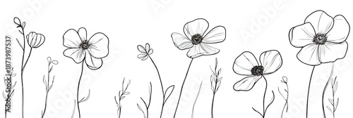 Continuous line drawing of wildflowers with delicate petals and slender stems isolated on white background minimalist style floral botanical sketch vector illustration