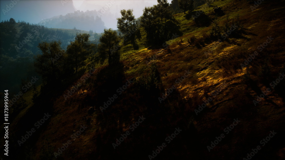 Obraz premium A stunning hillside scene features lush greenery and scattered trees. Sunlight gently illuminates the landscape, creating captivating shadows on the ground, inviting exploration and tranquility.