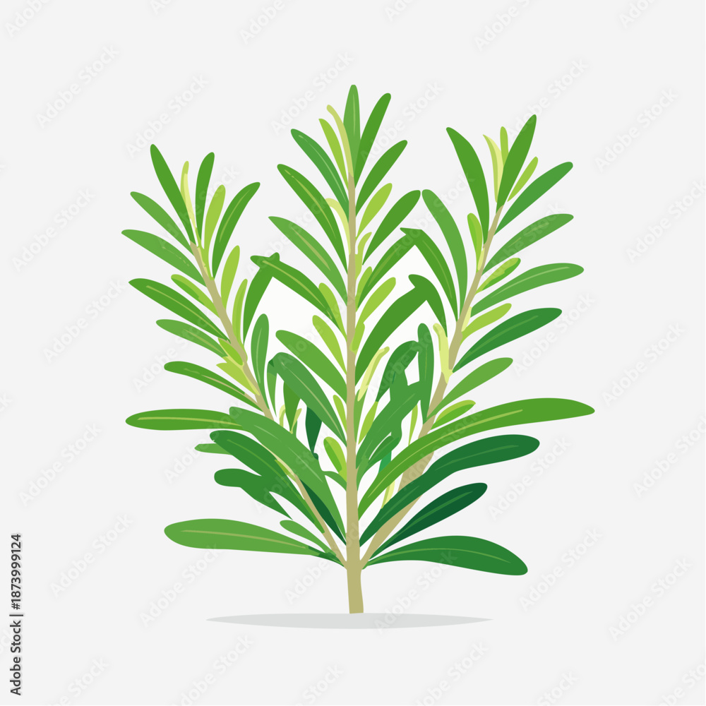 Fototapeta premium Vibrant vector illustration of rosemary sprigs on white background