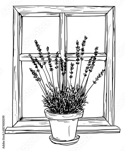 Hand drawn line art illustration of a potted lavender plant depicting a window scene for home decor