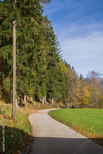 A quiet forest path along meadow on an autumn day