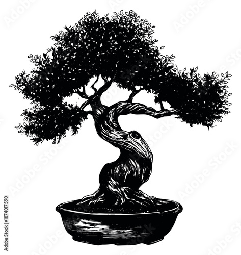 Hand drawn illustration of a bonsai tree depicting an elegant miniature in a pot for zen and nature concepts