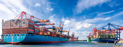 Canvas Print Container ships in the Port of Hamburg