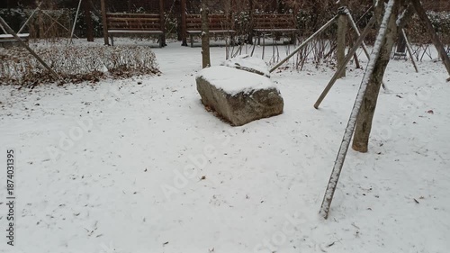 snow and park
