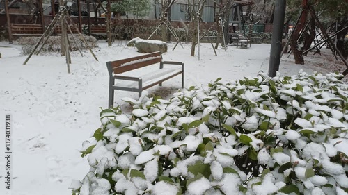 winter and korea