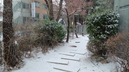 winter and korea