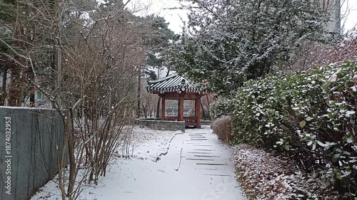 winter and korea