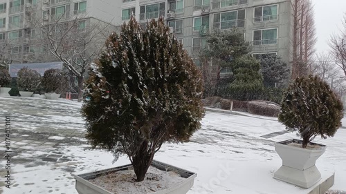 winter and korea