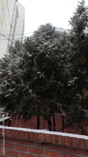 winter and korea