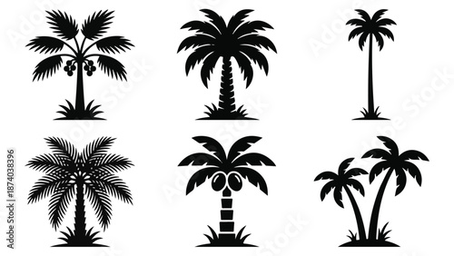 Palm Tree Silhouettes Vector Set for Tropical Design Elements