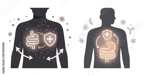 Digestive health illustration with male figures highlighting gut protection and immunity