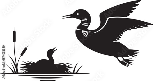 Loon with chick in nest among reeds silhouette vector graphic illustration design