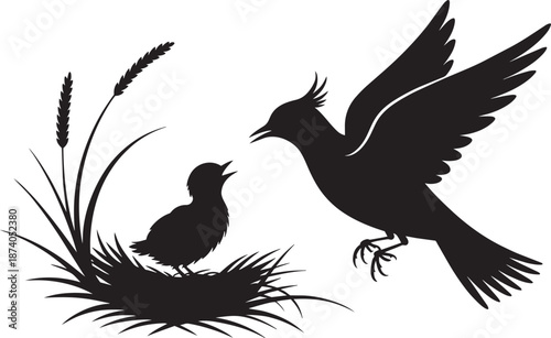 Parent bird feeding its hungry chick in a nest with wheat plant silhouette vector