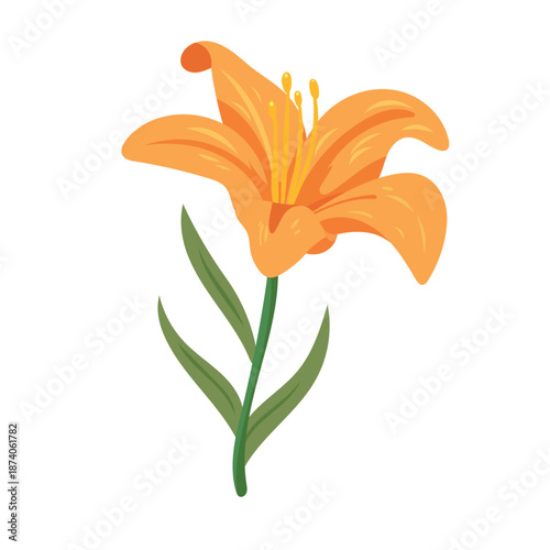 Day lily flower. Flat vector clipart, illustration with isolated background.