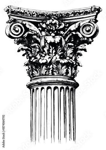 Hand drawn line art illustration of a classical column capital depicting intricate acanthus leaves and volutes for architectural design and historical projects