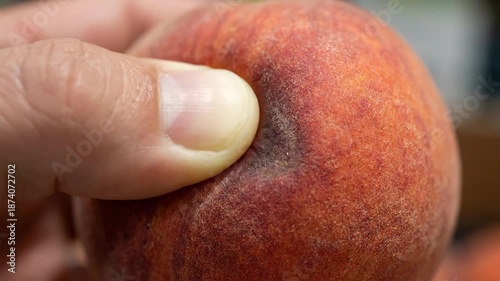 Close-up of a hand squeezing a fresh peach to check for ripeness. Consumer inspecting fruit quality at a market. World Consumer Rights Day concept