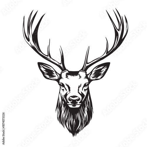 deer head vector