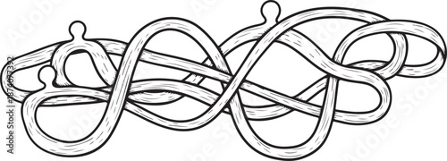 Tangled mess of black lines on white background illustration