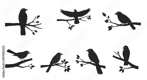 Collection of eight black bird silhouettes perched on tree branches in various poses isolated on a white background.