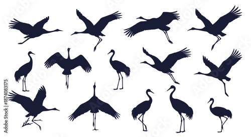 Set of black crane silhouettes in various graceful flying standing and dancing poses isolated on a white background.
