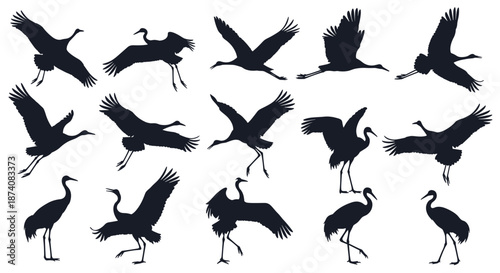 Set of graceful black crane silhouettes in various flying standing and dancing poses isolated on a white background.