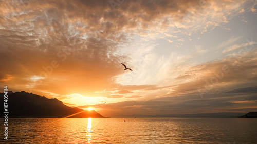 Sunset over lake during golden hour with bird in flight