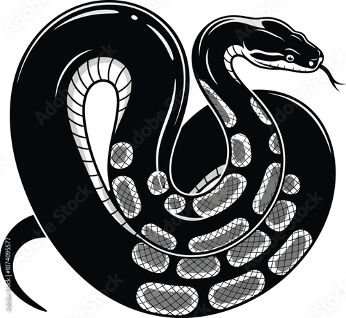 Stylized Snake Illustration