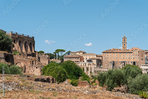 Photography Italy - Rome - Roman Forum - Panoramic view of ancient ruins with a bell tower, vegetation, and historic cityscape archaeological site