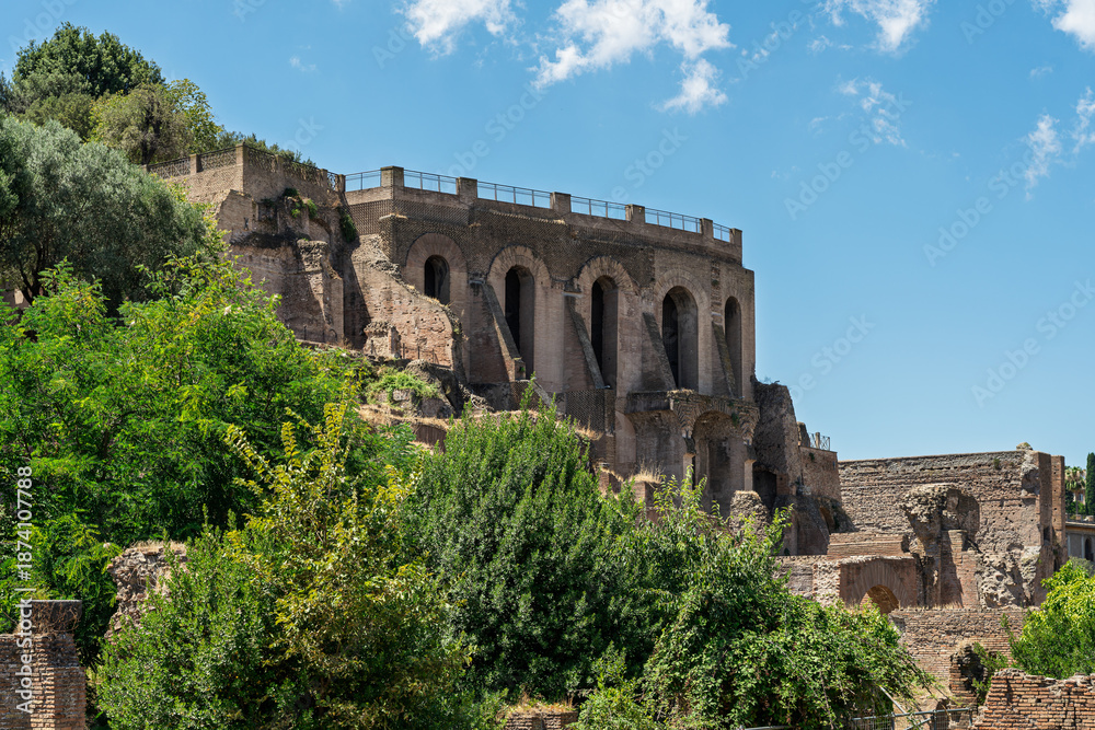 Obraz premium Italy - Rome - Domus Tiberiana - Ancient Roman imperial palace ruins with arched structures and vegetation on Palatine Hill