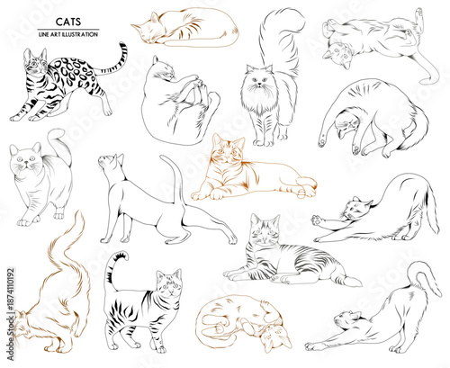 Set of vector hand drawn cats illustrations, line drawing animal collection