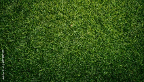 Wallpaper Mural Lush green grass surface serving as a background for spring or summer themes, ideal for eco-friendly projects Torontodigital.ca