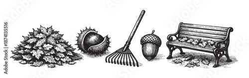 Vintage illustration of autumn harvest with a pile of leaves, a rake, a chestnut, an acorn and a bench with fallen leaves, rendered in a classic woodcut style.