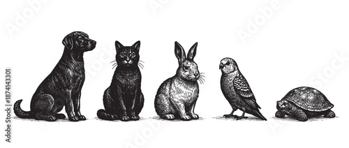 A detailed black and white woodcut illustration features a dog, cat, rabbit, bird, and turtle in a row against a white background, evoking a classic, timeless feel for diverse projects.