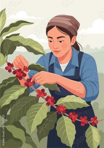 Woman farmer carefully picking ripe coffee cherries from a branch.