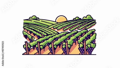 Rolling green vineyards under a setting sun, with ripe purple grapes adorning vines
