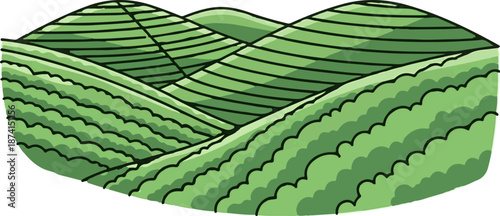 Rolling green hills with layered contour lines, suggesting agricultural fields