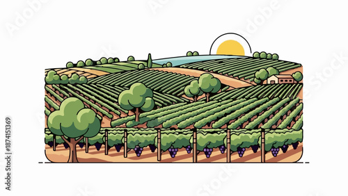 Rolling vineyard hills bathed in sunset light, with lush green rows, fruit-laden vines, and a distant dwelling