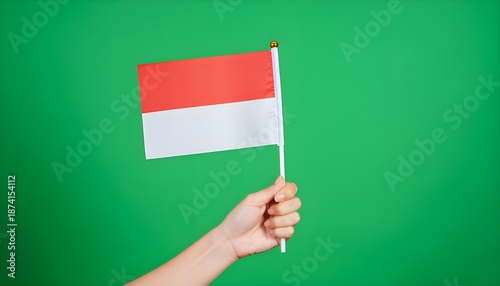 “Patriotic Hand Holding Merah Putih Flag”